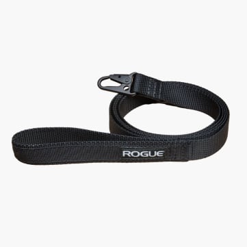 Rogue Nylon Dog Leash