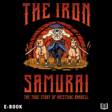 The Iron Samurai