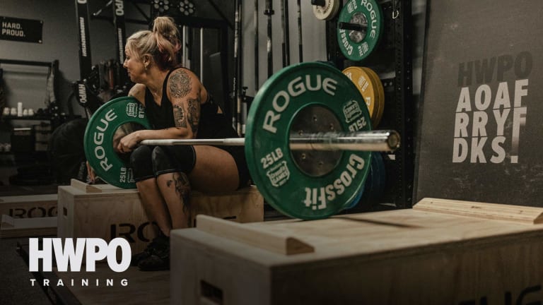 catalog/Gear and Accessories/Books and Media/EBOOKS/HWPO0003 - HWPO Lift/Rogue-Program_Banner-Lift_zioijd