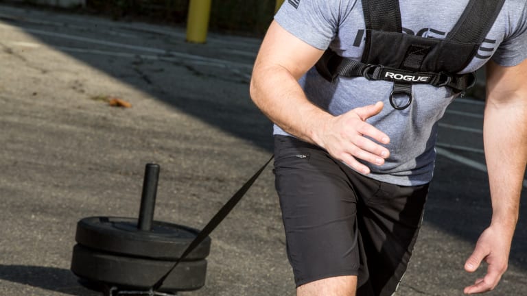 catalog/Straps Wraps and Support /Weight Straps/Sled Straps and Belts/ROGUEHARNESS/ROGUEHARNESS-H_wujwos